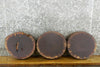 Thumbnail for 3- Round Cut Live Edge Black Walnut Reclaimed Centerpiece Slabs 12506-12508