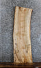 Thumbnail for Live Edge Spalted Maple Side Table Top/Wall Shelf 1250