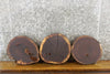Thumbnail for 3- Black Walnut Round Cut Live Edge Wood Slabs 12522-12524