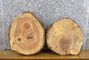 Thumbnail for 2- Reclaimed Live Edge Ash Round Cut Craft Pack/Centerpiece Slabs 12533-12534