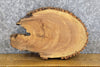 Thumbnail for Oval Cut Live Edge Bark Ash DIY Charcuterie Board CLOSEOUT 12547