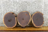 Thumbnail for 3- Round Cut Live Edge Black Walnut Centerpiece Slabs 12567-12569