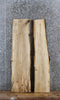 Thumbnail for 2- Spalted Maple Live Edge Charcuterie/Taxidermy/Shelf Slabs 1260-1261