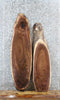 Thumbnail for 2- Walnut Live Edge Shelf/Charcuterie/Taxidermy Slabs 1272-1273