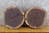 Thumbnail for 2- Live Edge Reclaimed Round Cut Black Walnut Craft Pack Slabs 12723-12724