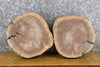 Thumbnail for 2- Live Edge Reclaimed Round Cut Black Walnut Craft Pack Slabs 12723-12724