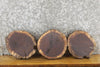 Thumbnail for 3- Reclaimed Black Walnut Live Edge Round Cut Craft Pack Slabs 12754-12756