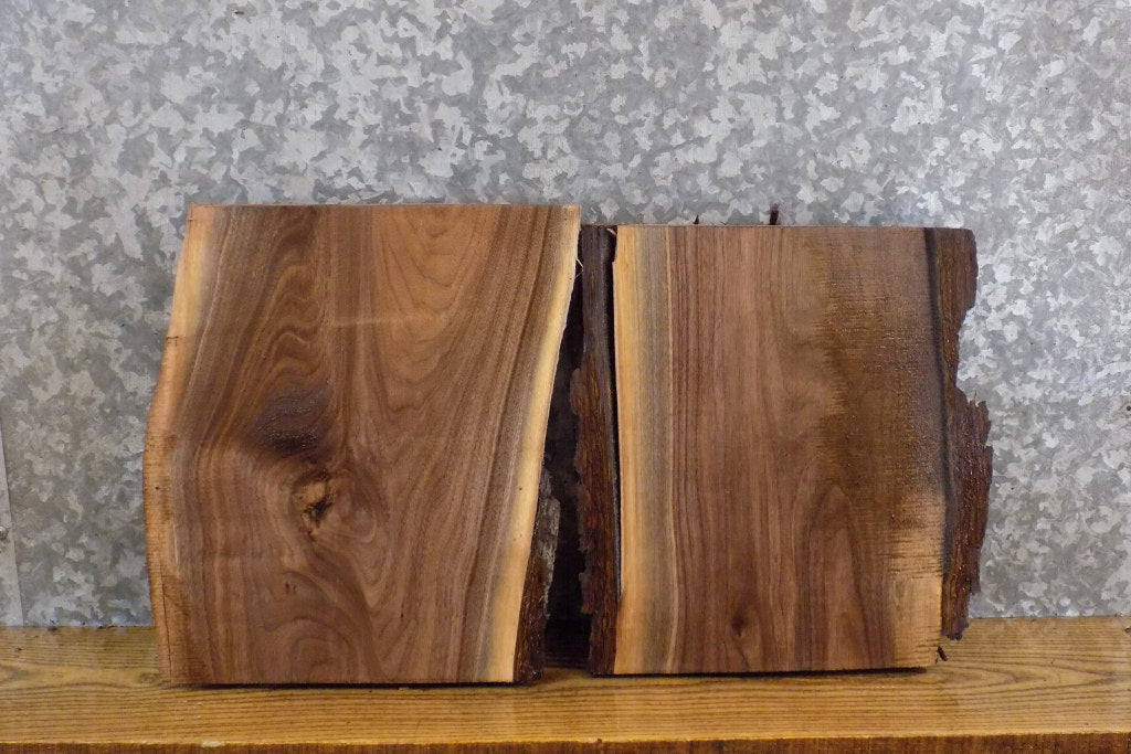 2- Live Edge Black Walnut DIY Charcuterie Boards/Slabs CLOSEOUT 12794-12795