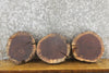 Thumbnail for 3- Rustic Black Walnut Round Cut Live Edge Taxidermy Base Slabs 12796-12798