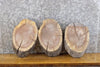 Thumbnail for 3- Round Cut Rustic Live Edge Black Walnut Centerpiece Wood Slabs 12811-12813