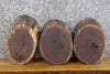 Thumbnail for 3- Live Edge Round Cut Rustic Black Walnut Centerpiece Wood Slabs 12814-12816