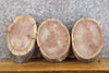Thumbnail for 3- Live Edge Round Cut Rustic Black Walnut Centerpiece Wood Slabs 12814-12816