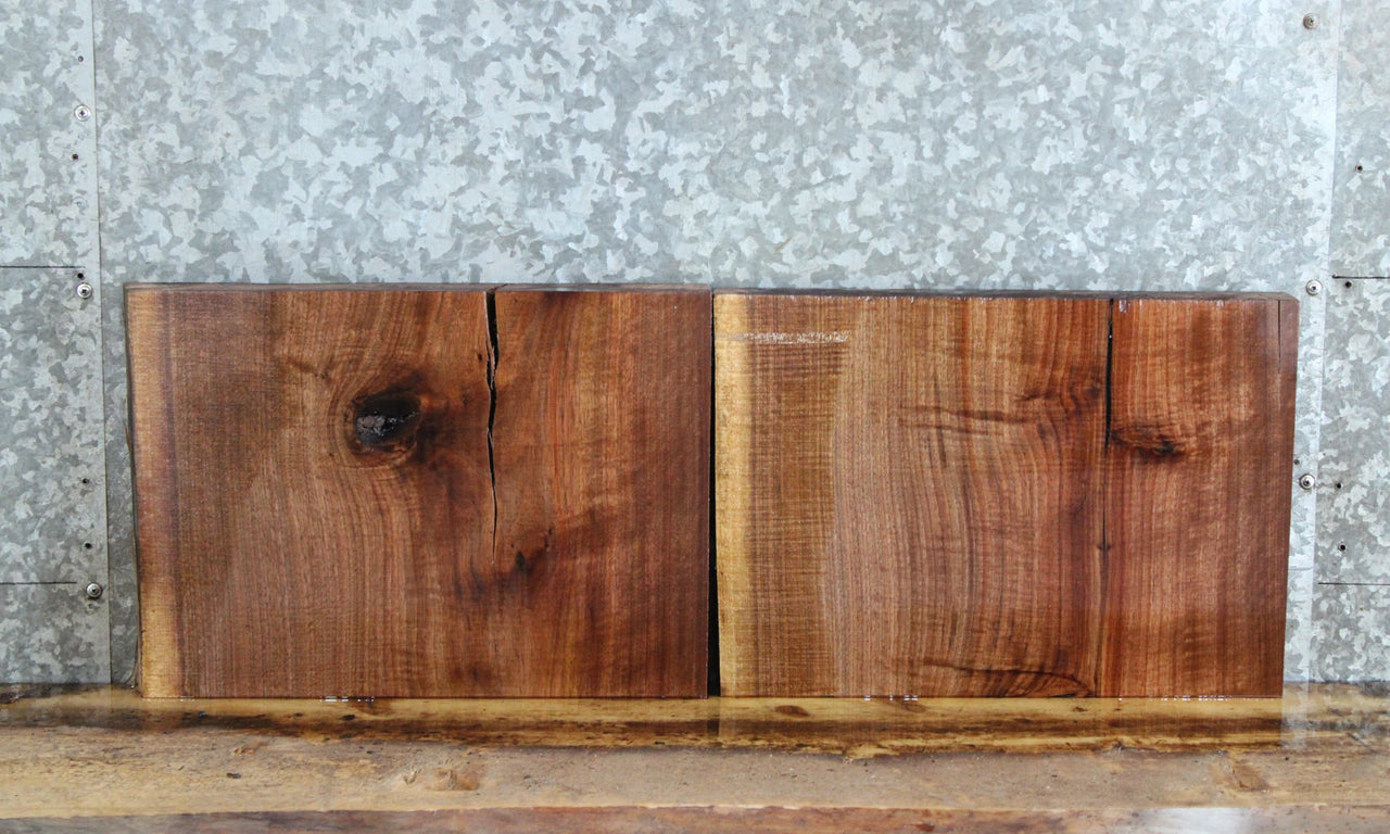 2- Live Edge Black Walnut End Table/Charcuterie Board Slabs 12828-12829