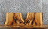 Thumbnail for 2- Oak Live Edge Taxidermy Mounts/End Tables 12834-12835