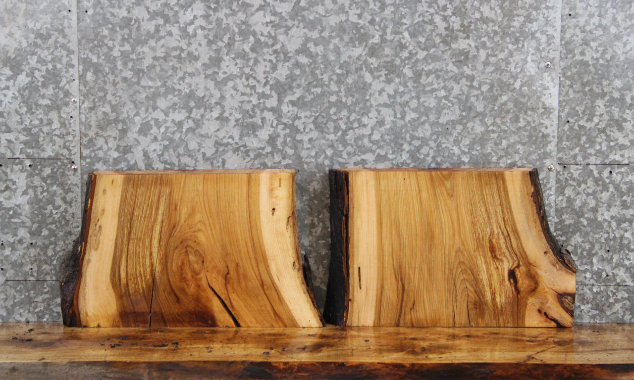 2- Oak Live Edge Taxidermy Mounts/End Tables 12834-12835