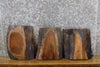Thumbnail for 3- Natural Edge Black Walnut Craft Pack/Taxidermy Base Slabs 12885