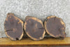 Thumbnail for 3- Salvaged Round Cut Black Walnut Live Edge Craft Pack Slabs 12886-12888