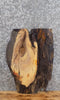 Thumbnail for Live Edge Spalted Maple Taxidermy Mount/Wall Art Slab CLOSEOUT 12890