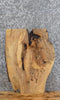 Thumbnail for Live Edge Spalted Maple Taxidermy Mount/Wall Art Slab CLOSEOUT 12890