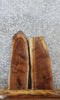 Thumbnail for 2- Walnut Live Edge Charcuterie/Shelf/Taxidermy Slabs 12891-12892