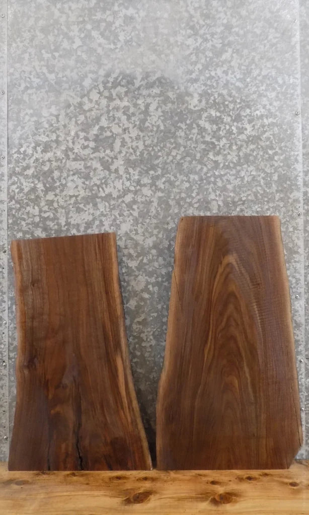2- Live Edge Black Walnut Wall Shelf/Taxidermy Mount Slabs 12897-12898