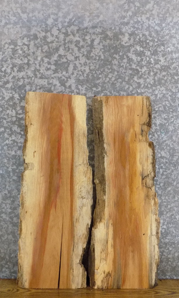 2- Salvaged Live Edge Red Oak End/Entry/Side Table Top Slabs 13005-13006