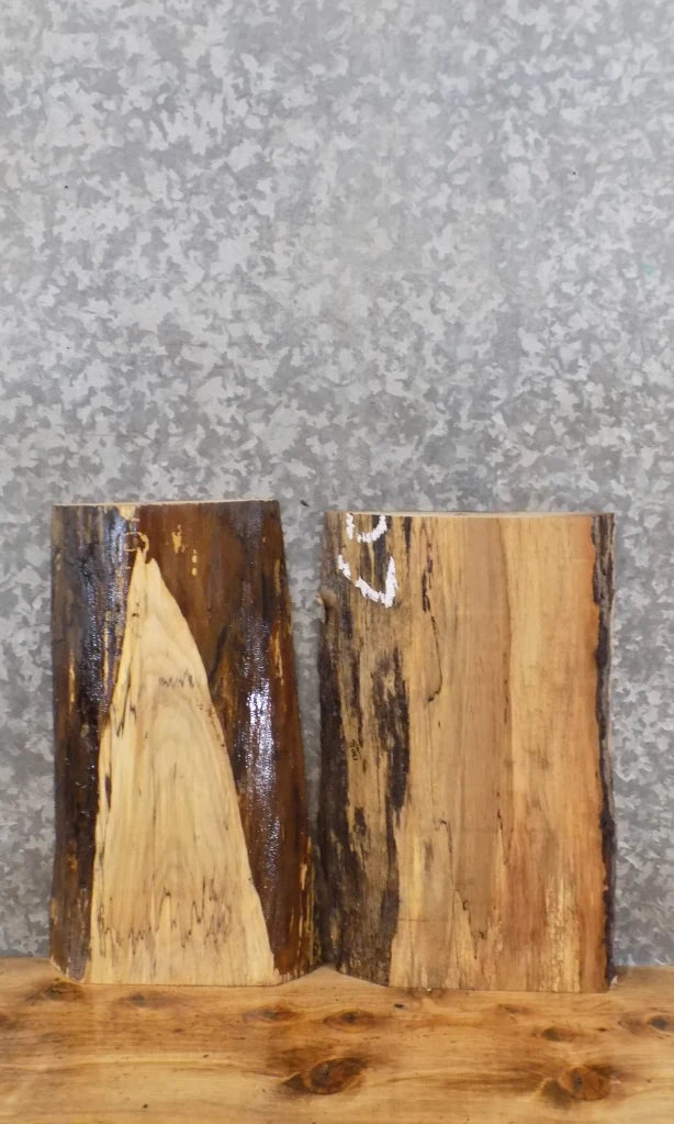 2- Live Edge Spalted Maple Taxidermy Mount/Craftwood Slabs 13016-13017