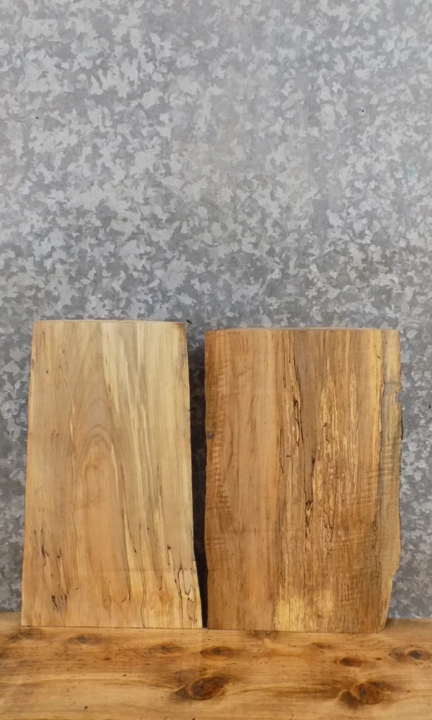 2- Live Edge Spalted Maple Taxidermy Mount/Craftwood Slabs 13016-13017