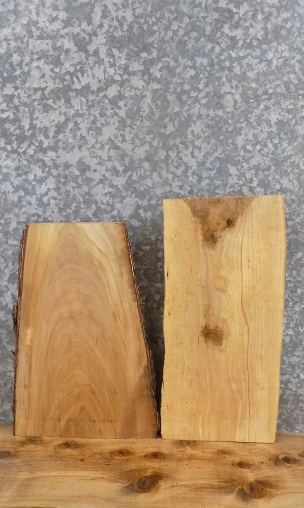 2- Reclaimed Live Edge Maple Wall Shelf/Taxidermy Mount Slabs 13020-13021