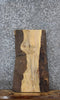 Thumbnail for Ash Live Edge Charcuterie/End Table Slab 13050