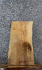 Thumbnail for Ash Live Edge Charcuterie/End Table Slab 13050