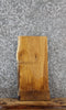 Thumbnail for White Oak Live Edge Charcuterie/Taxidermy Slab 13053