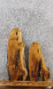 Thumbnail for 2- Live Edge White Oak Side Table Tops/Taxidermy Mount Slabs 13056-13057