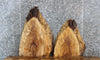 Thumbnail for 2- Live Edge Spalted Maple End Table Top Slabs 13061-13062