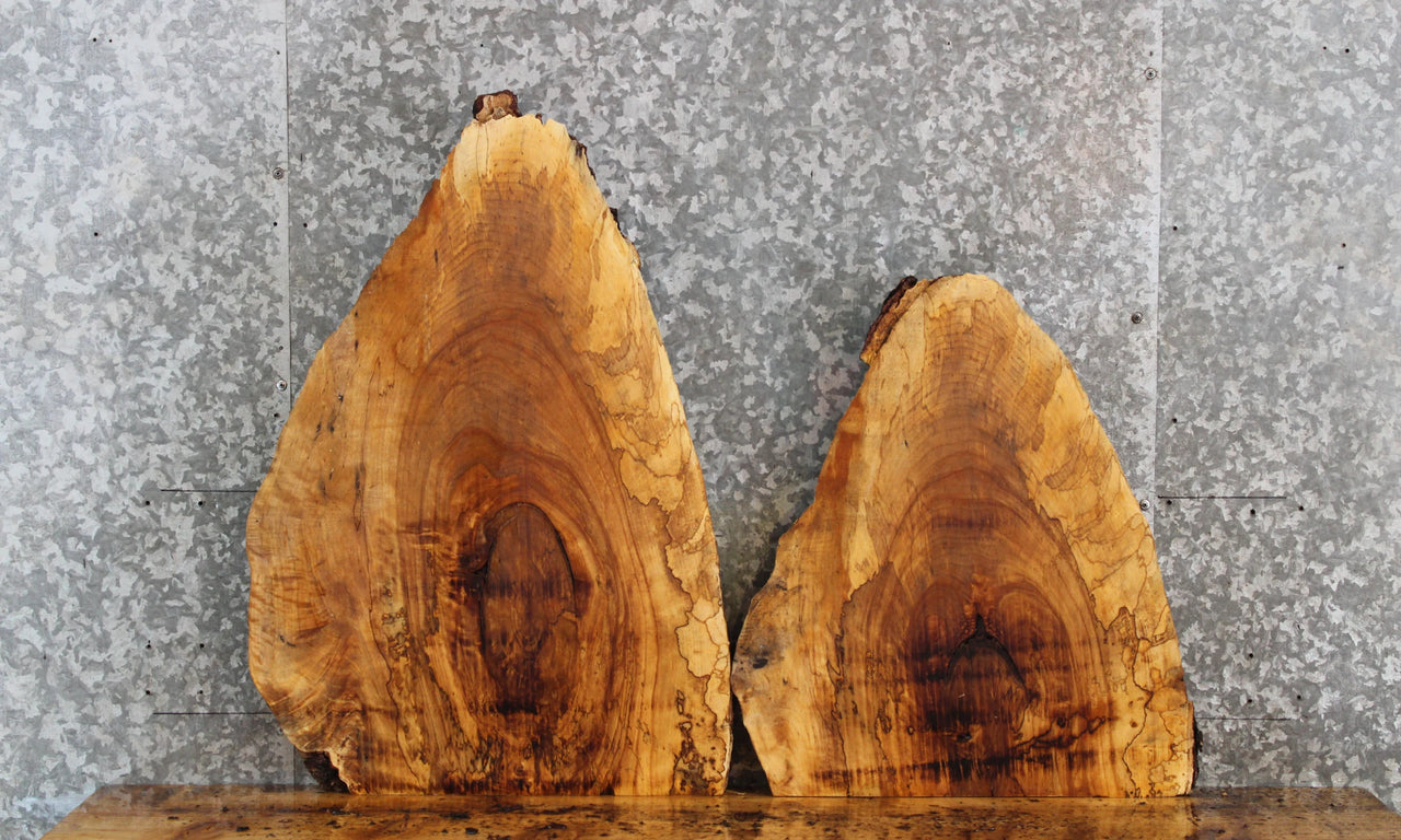 2- Live Edge Spalted Maple End Table Top Slabs 13061-13062