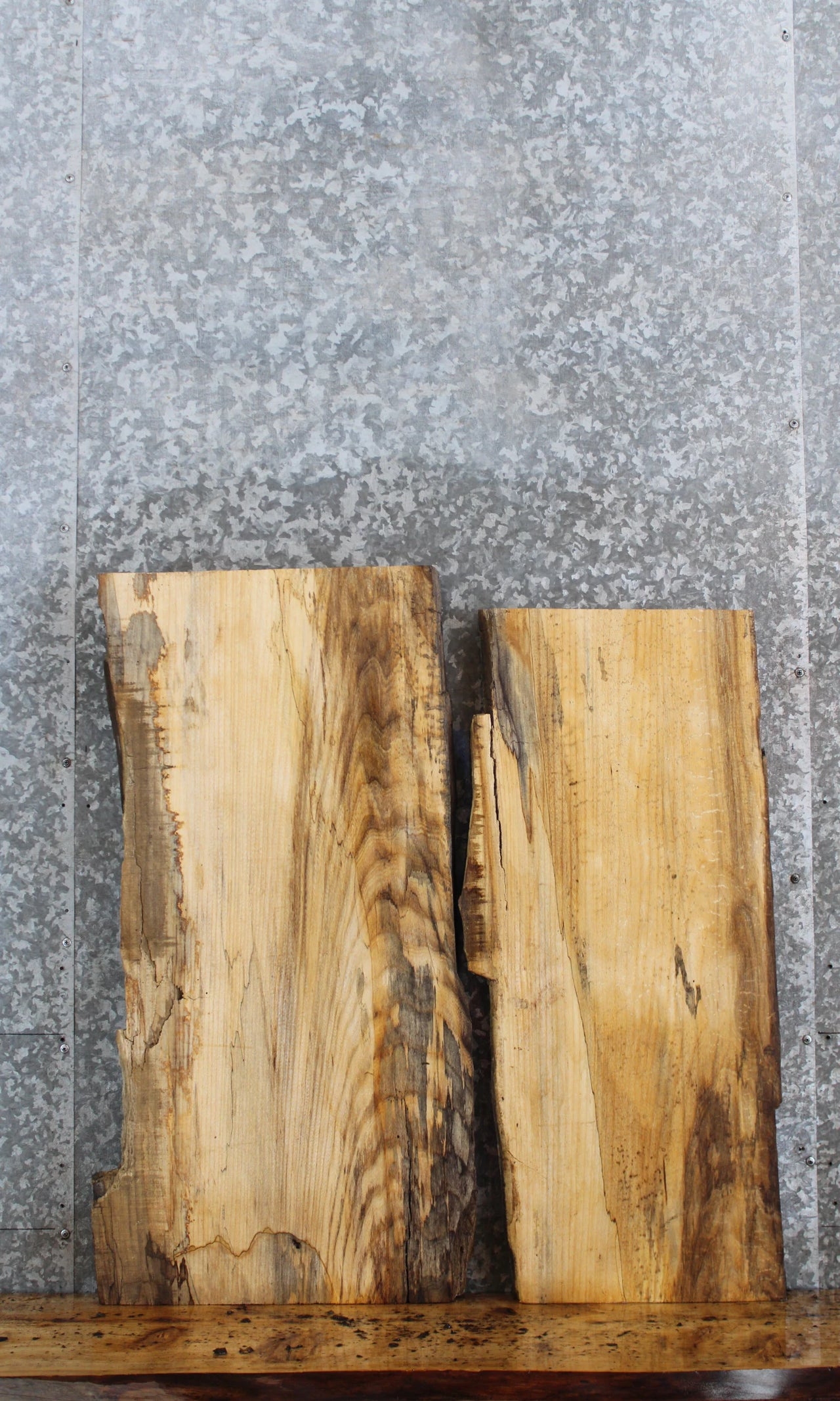 2- Live Edge Spalted Maple Side Table Top/ Taxidermy Mount Slabs 13068-13069