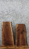 Thumbnail for 2- Live Edge Black Walnut Side Table Tops/Taxidermy Mounts 13072-13073