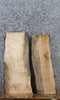 Thumbnail for 2- Live Edge Spalted Maple Side Table Tops/Wall Shelves 13075-13076