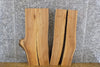 Thumbnail for 3- Bookmatched Live Edge Elm Split Board Slabs CLOSEOUT 13085-13086