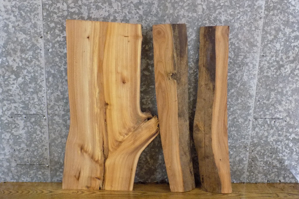3- Bookmatched Live Edge Elm Split Board Slabs CLOSEOUT 13085-13086