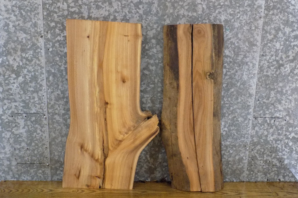 3- Bookmatched Live Edge Elm Split Board Slabs CLOSEOUT 13085-13086
