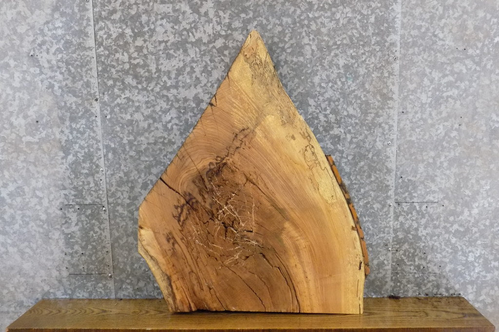 Reclaimed Ash Partial Live Edge Table Top/Epoxy Project Slab 13087