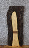 Thumbnail for Live Edge Black Walnut Side Table Top/Taxidermy Mount Slab 13088