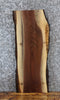Thumbnail for Live Edge Black Walnut Side Table Top/Taxidermy Mount Slab 13088