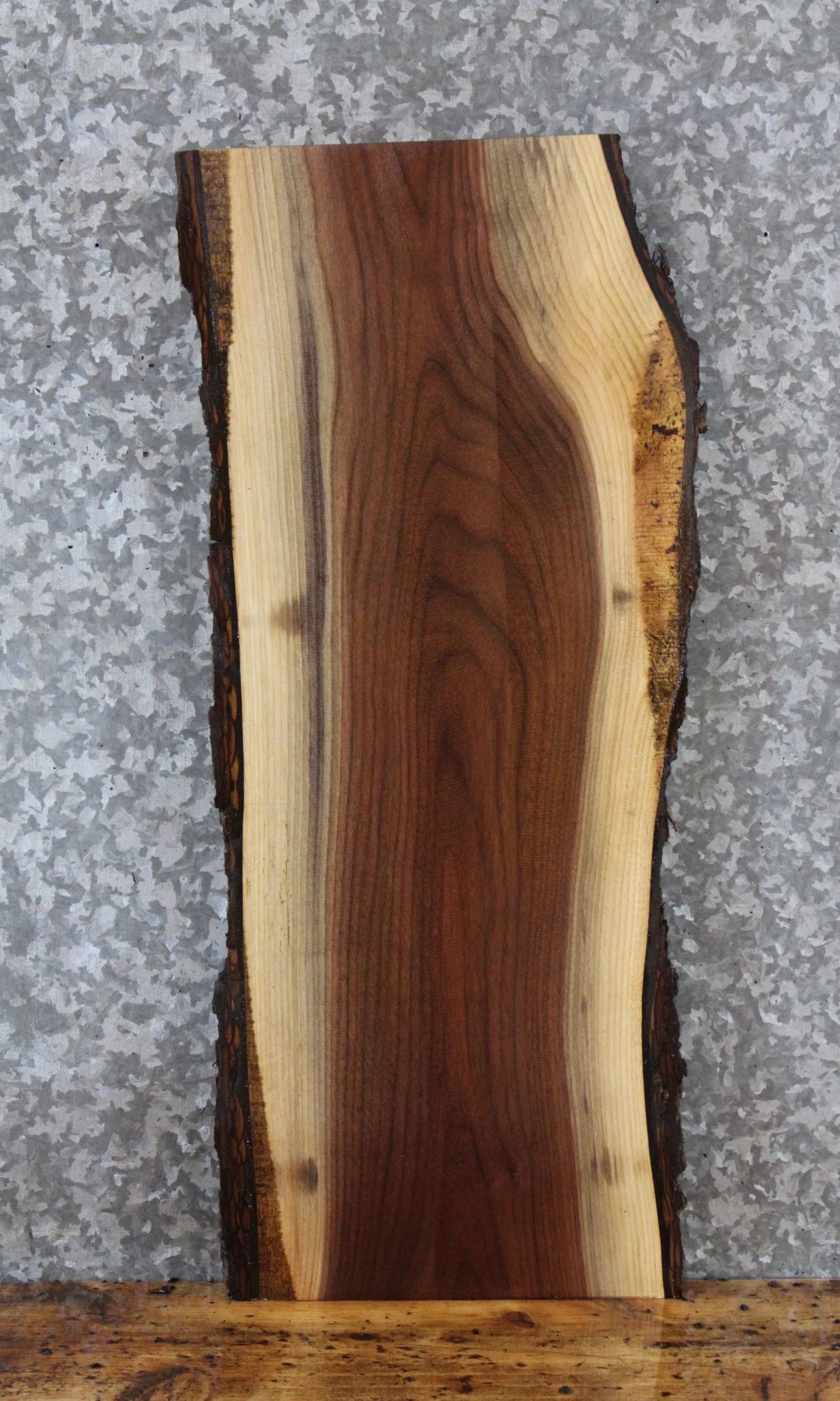 Live Edge Black Walnut Side Table Top/Taxidermy Mount Slab 13088
