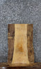 Thumbnail for Ash Live Edge Charcuterie/End Table Slab 13091