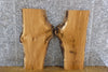 Thumbnail for 2- Rustic White Oak Live Edge Bookmatched End Table Top Slabs 13092-13093