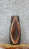 Thumbnail for Walnut Live Edge Charcuterie/Taxidermy Slab 13095
