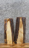 Thumbnail for 2- Live Edge Salvage Maple Taxidermy Mount/Wall Shelf Slabs 13098-13099