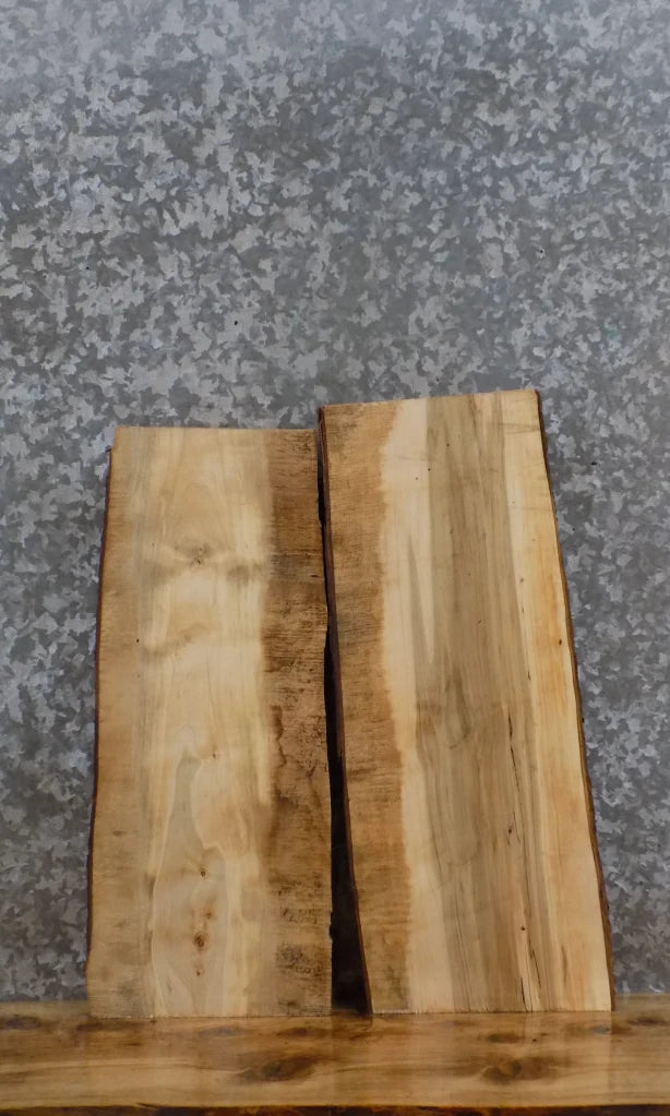 2- Live Edge Salvage Maple Taxidermy Mount/Wall Shelf Slabs 13098-13099